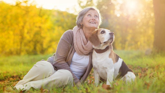 Bio-Glukosesirup in der Hundeernährung: Sinnvolle Energiequelle oder unnötiger Zuckerzusatz?