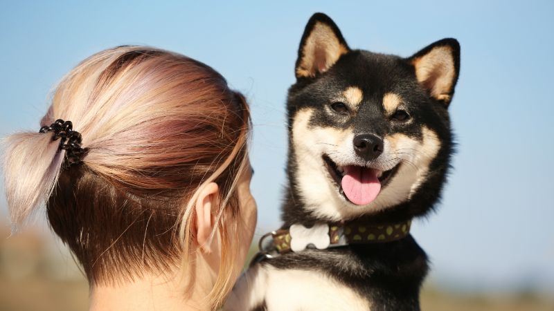 Eibischwurzel für die Hundegesundheit: Natürliche Hilfe für Atemwege, Verdauung und Haut