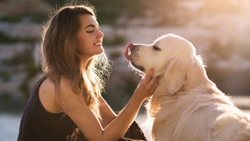 Inulin in der Hundeernährung: Natürliche Unterstützung für die Darmgesundheit