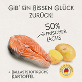 Lachs & Kartoffel