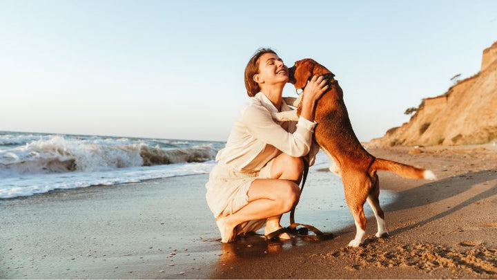 Fructo-Oligosaccharide (FOS) für Hunde: Natürliche Unterstützung für die Darmgesundheit