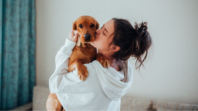 Quendel für die Hundegesundheit: Natürliche Unterstützung für Atemwege, Verdauung und Immunsystem
