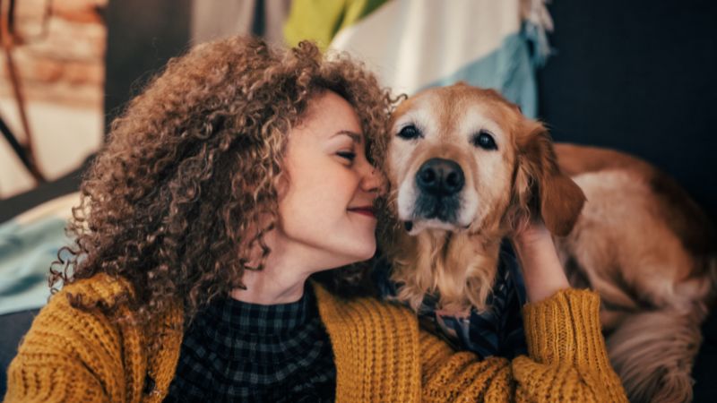 Zuckerrohrmelasse für die Hundegesundheit: Natürliche Energiequelle mit wertvollen Nährstoffen