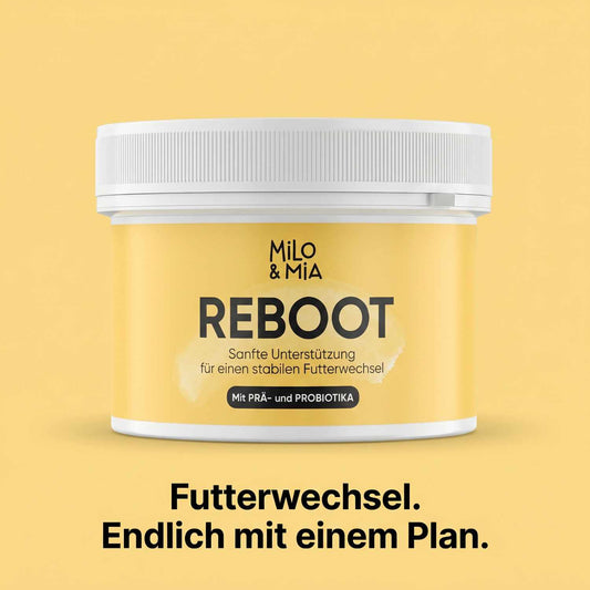 Futterumstellung Reboot