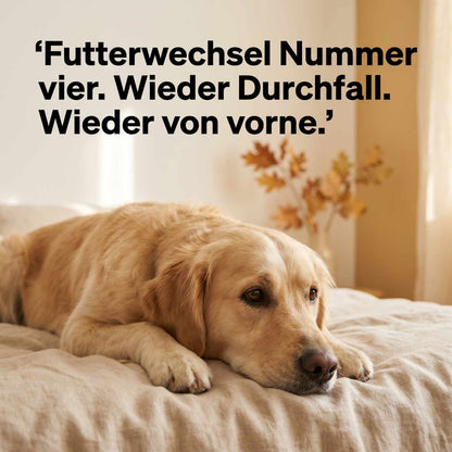Futterumstellung Reboot