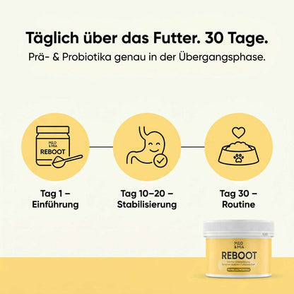 Futterumstellung Reboot