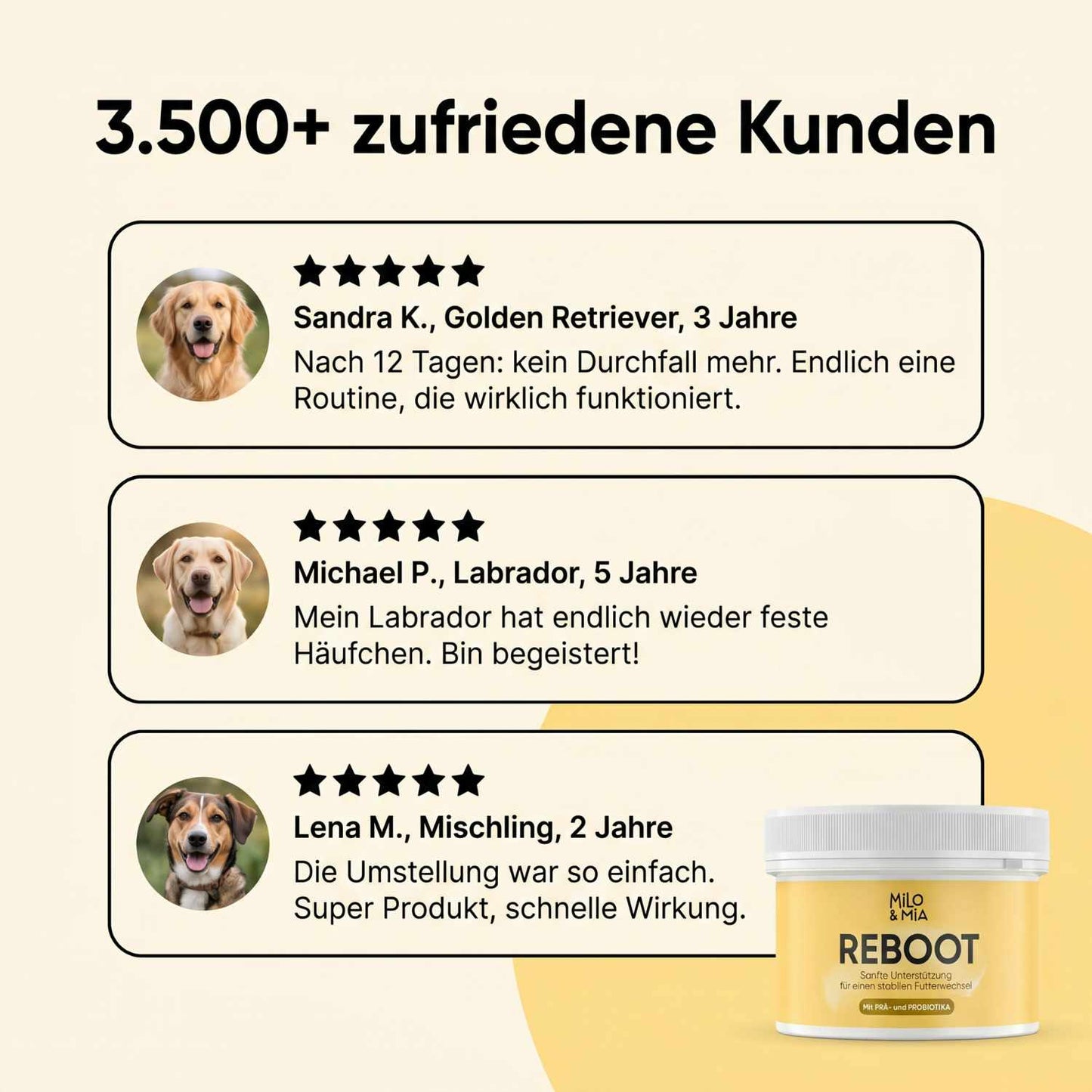 Futterumstellung Reboot