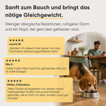 Kalb, Kürbis & Hirse