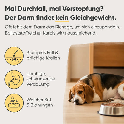 Kalb, Kürbis & Hirse