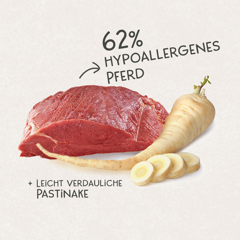 Pferd & Pastinake