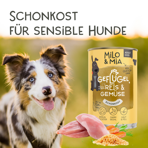 Geflügel, Reis & Gemüse