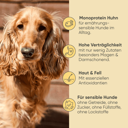 Geflügel, Reis & Gemüse