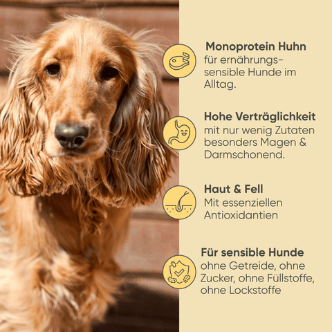 Geflügel, Reis & Gemüse