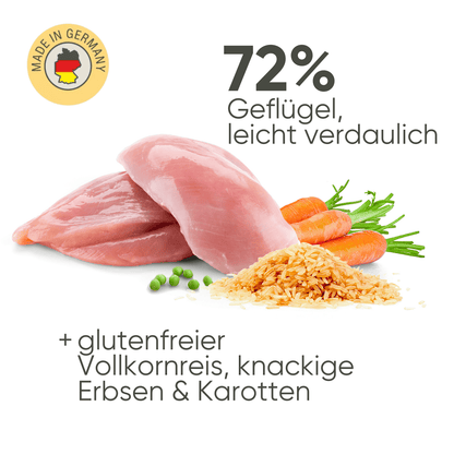Geflügel, Reis & Gemüse