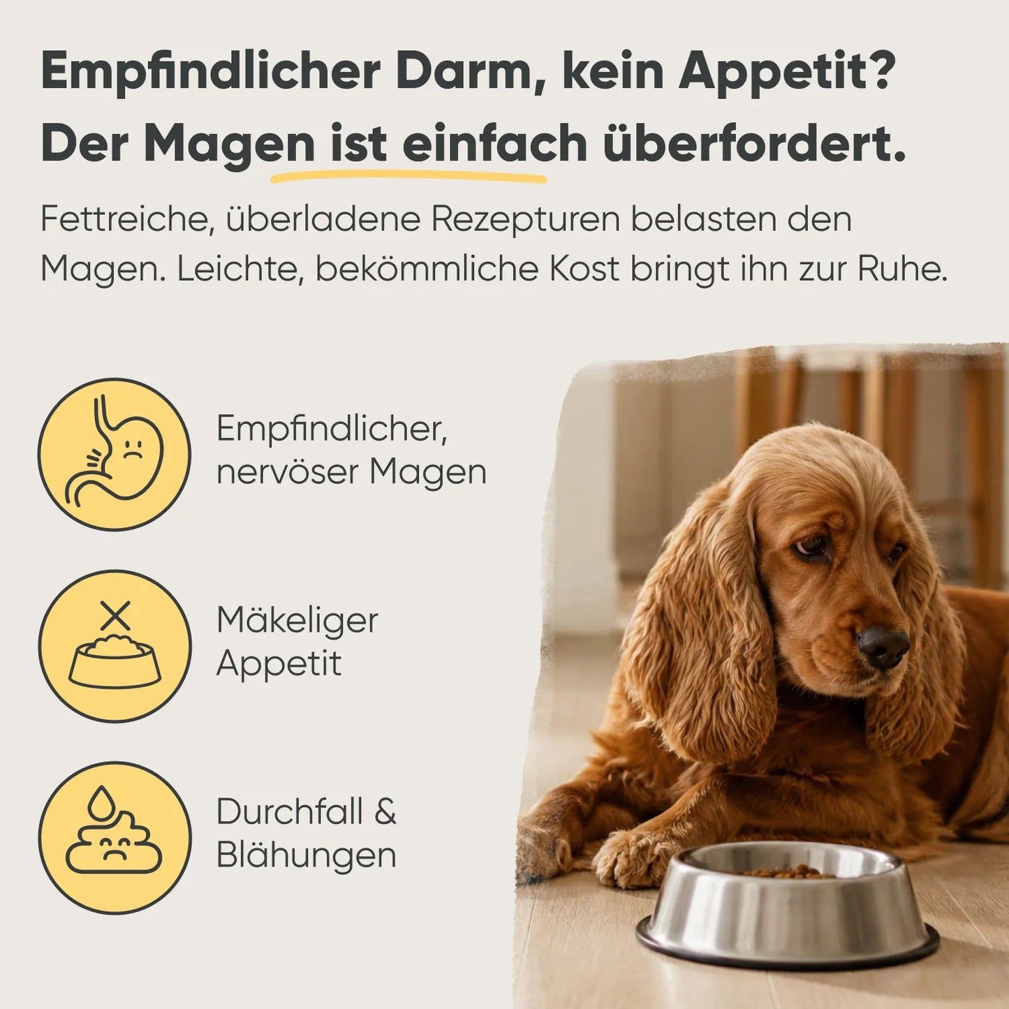 Geflügel, Reis & Gemüse