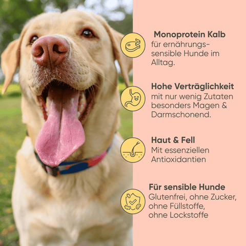 Kalb, Kürbis & Hirse