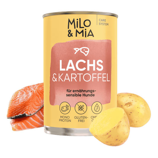 Lachs & Kartoffel