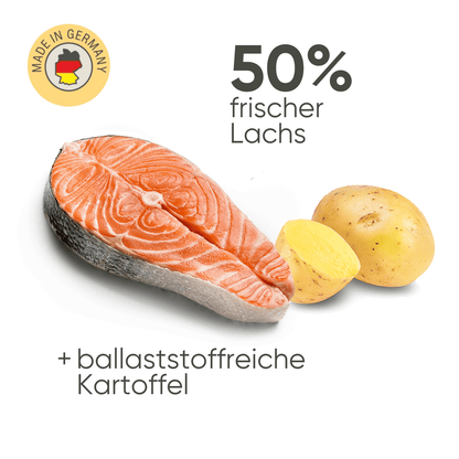 Lachs & Kartoffel
