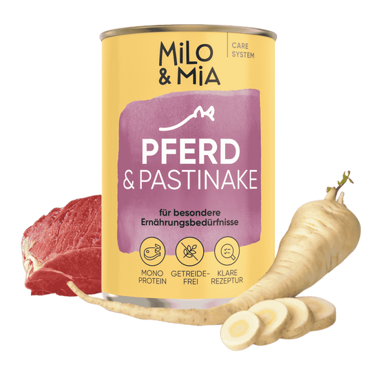 Pferd & Pastinake