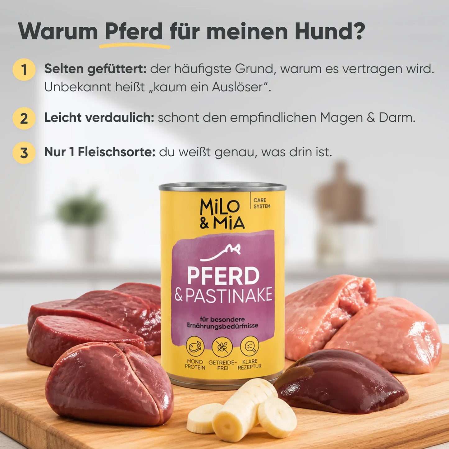 Pferd & Pastinake