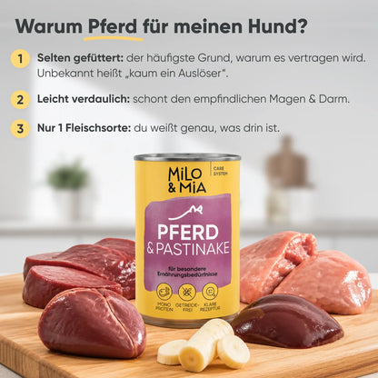 Pferd & Pastinake