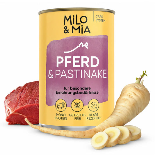 Pferd & Pastinake