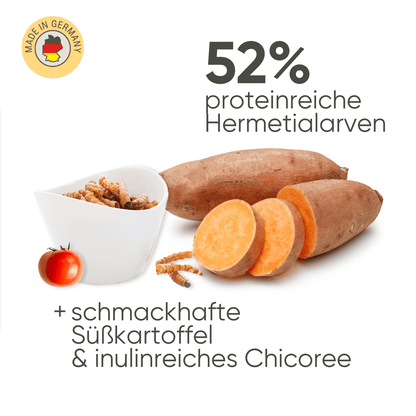 Insekten & Süßkartoffel