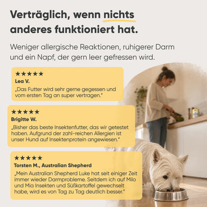 Insekten & Süßkartoffel