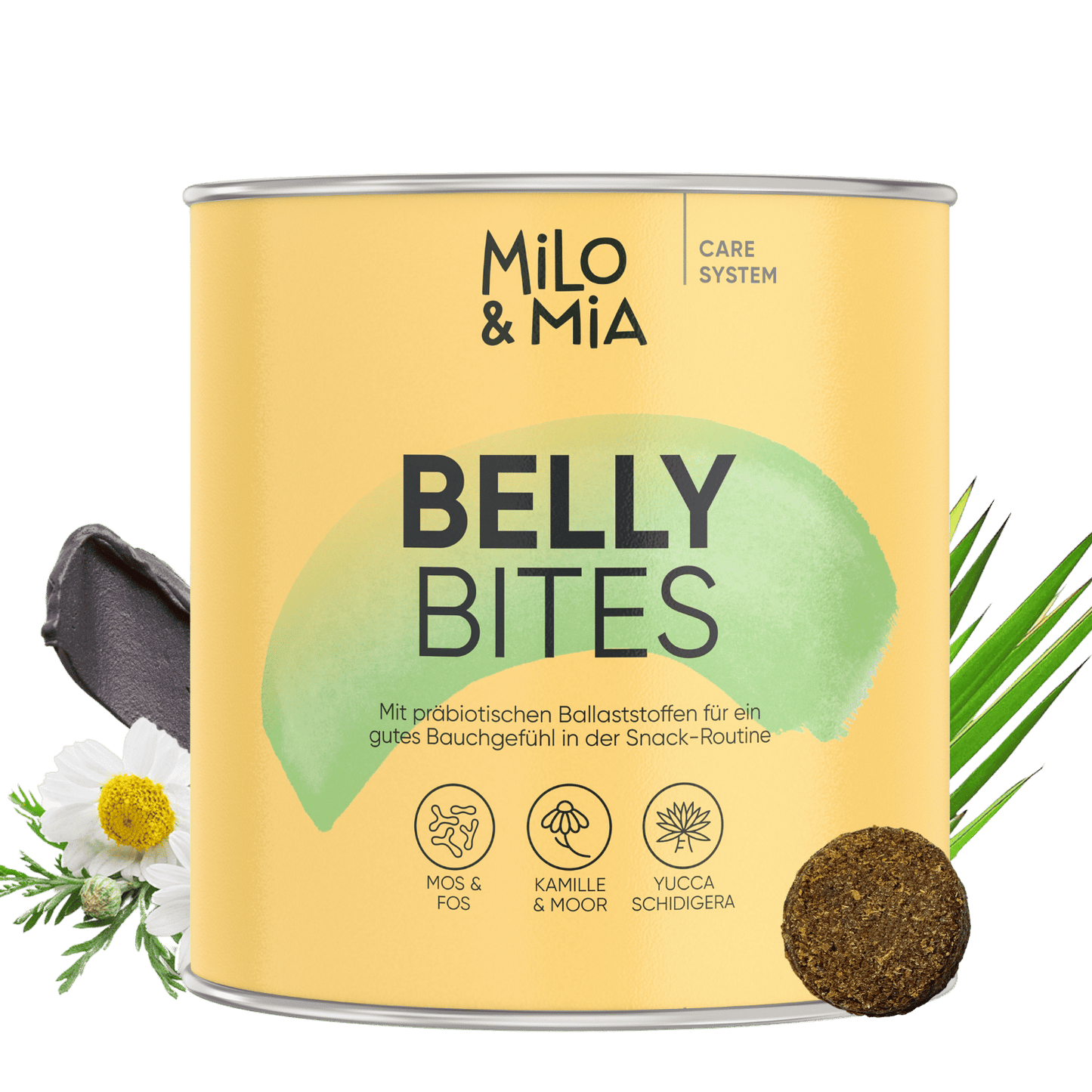 Belly Bites