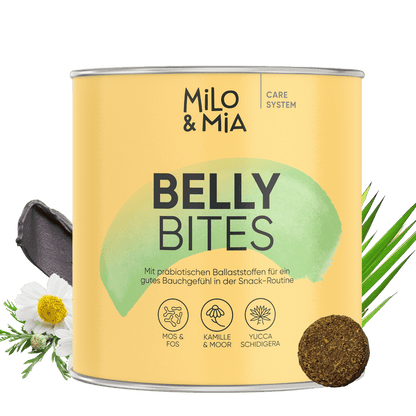 Belly Bites