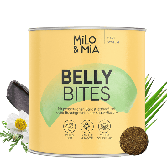 Belly Bites