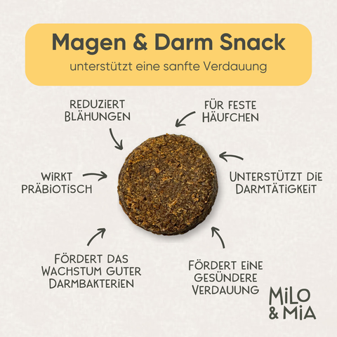 Daily Bites Softsnack - Magen & Darm