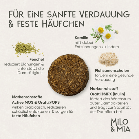 Daily Bites Softsnack - Magen & Darm