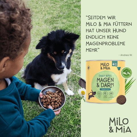 Daily Bites Softsnack - Magen & Darm