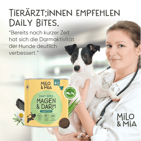 Daily Bites Softsnack - Magen & Darm