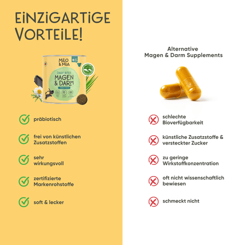 Daily Bites Softsnack - Magen & Darm