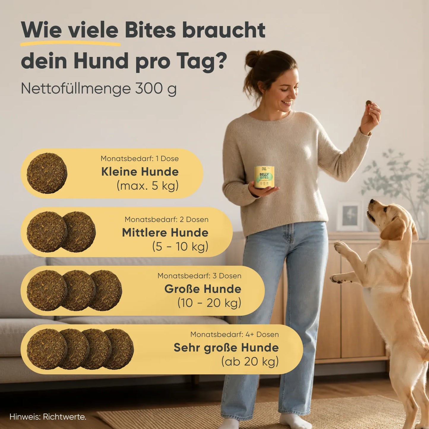 Belly Bites