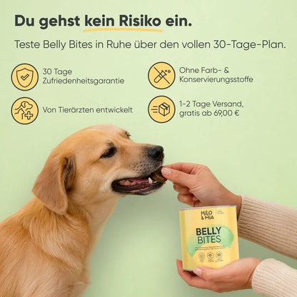 Belly Bites