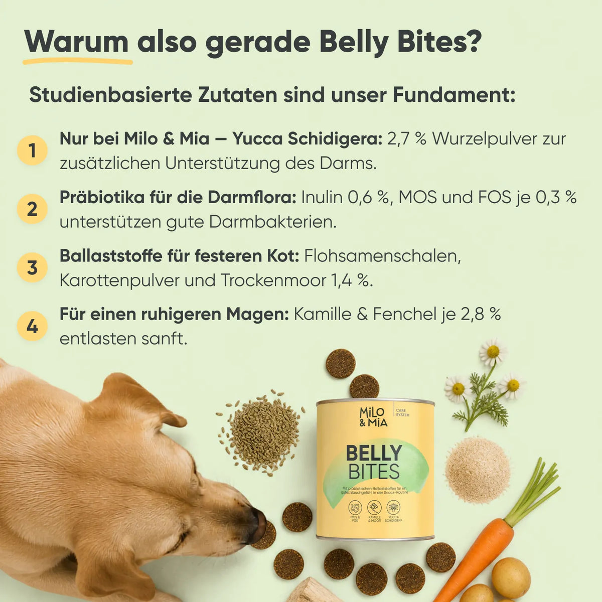 Belly Bites