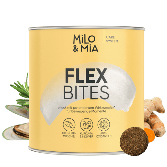 Flex Bites