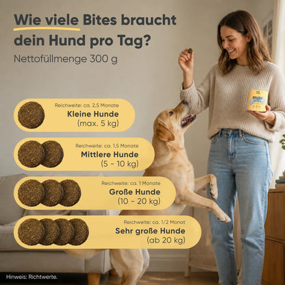 Brush Bites