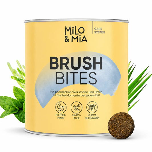 Brush Bites