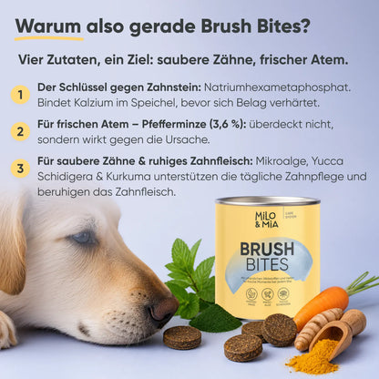 Brush Bites