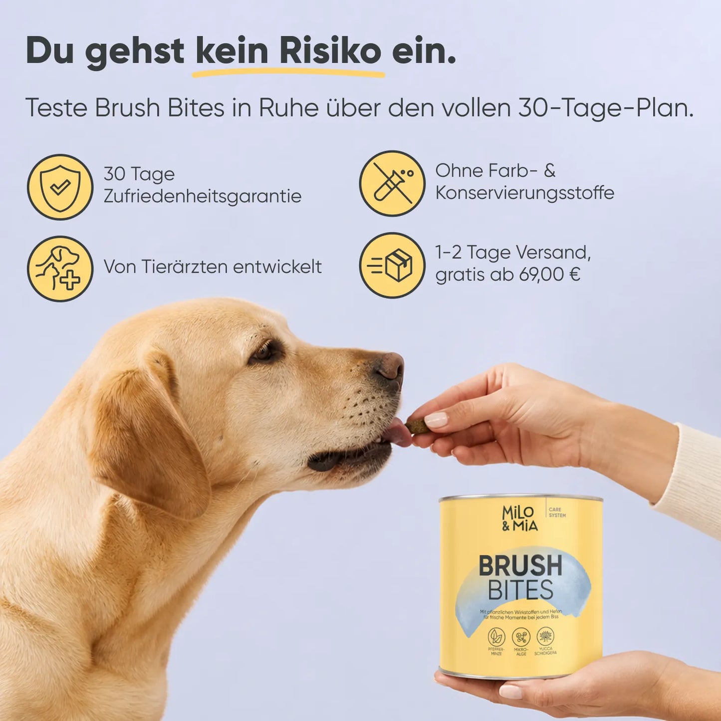 Brush Bites