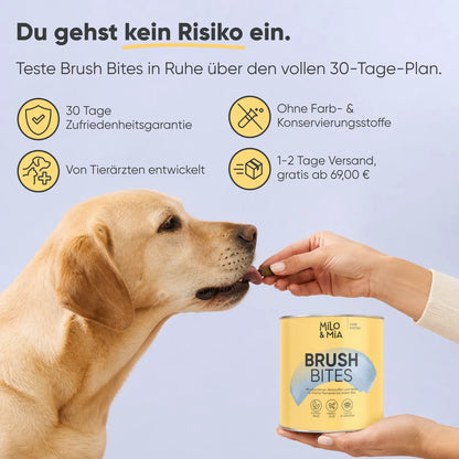 Brush Bites