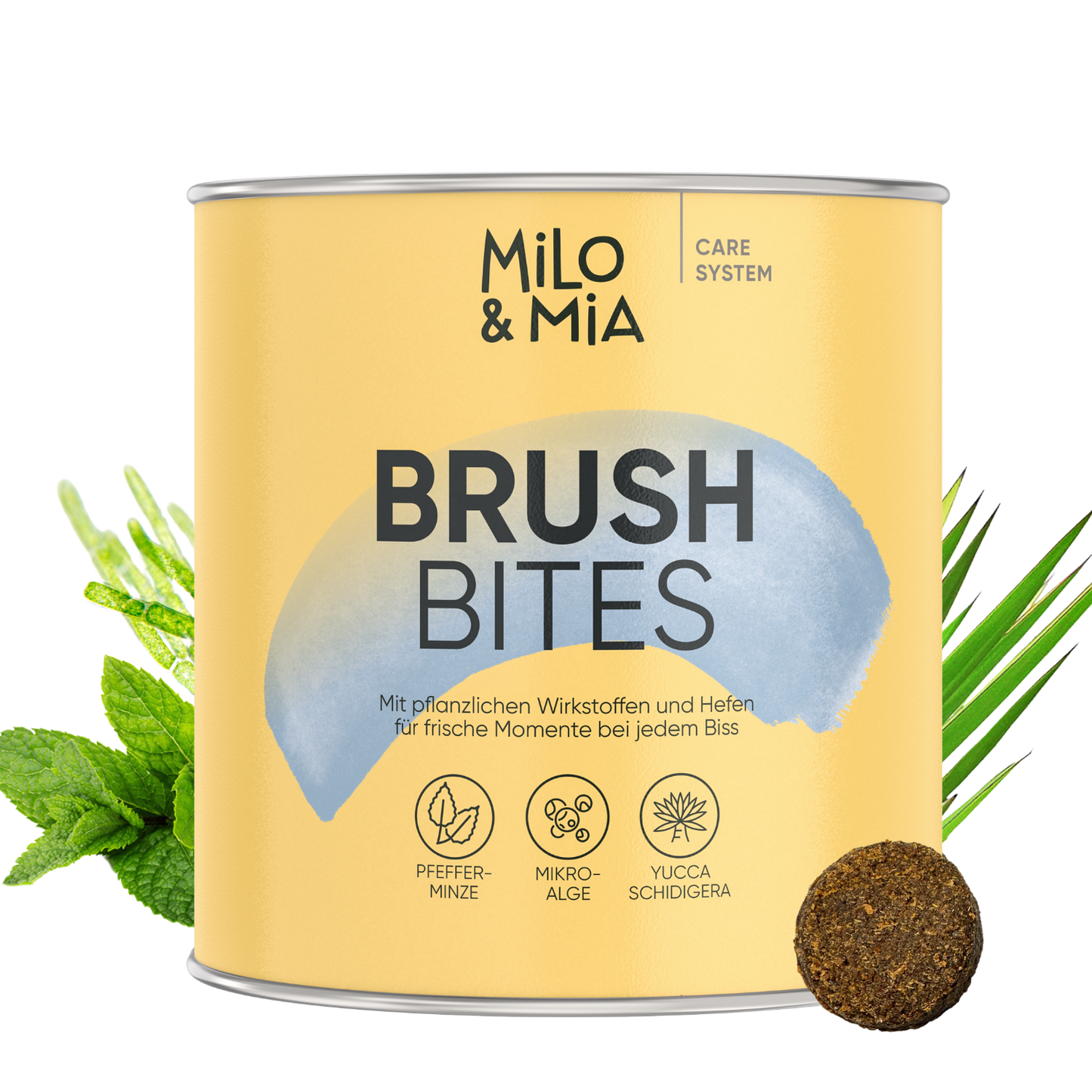 Brush Bites