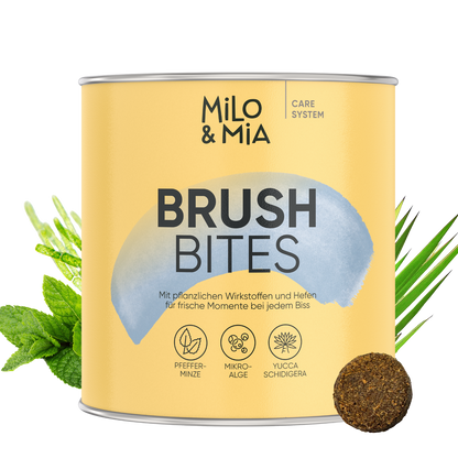 Brush Bites