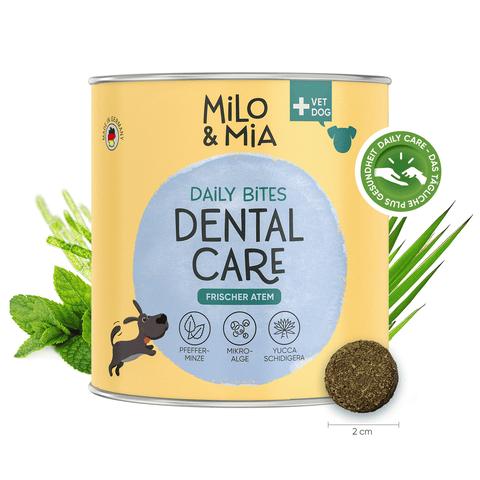 Daily Bites Softsnack - Dental Care