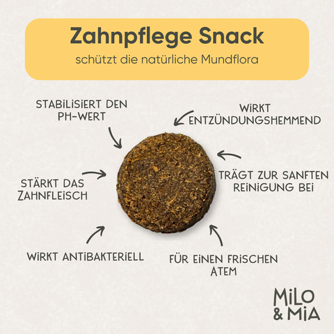 Daily Bites Softsnack - Dental Care