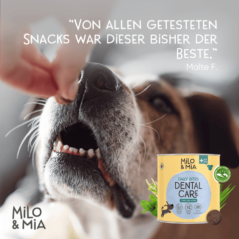 Daily Bites Softsnack - Dental Care